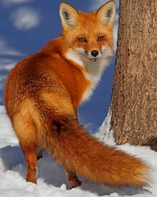 Red Fox In The Snow Animals Painting By Numberss.png