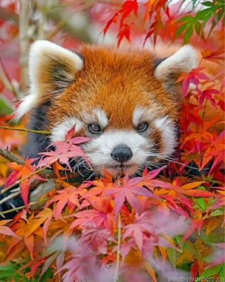 Red Panda And Leaves Painting By Numbers.png
