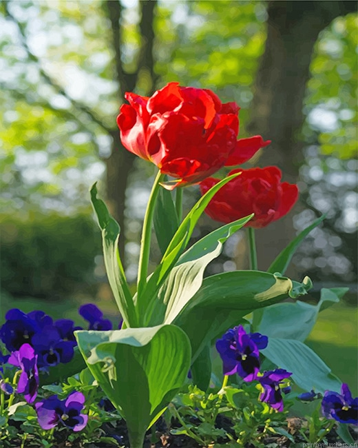 Red Peonies Flowers Painting By Numberss.png