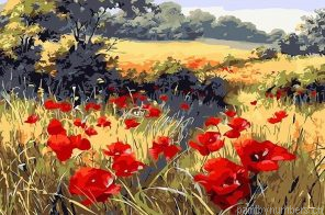 Red Poppy Flowers Field Painting By Numberss.png