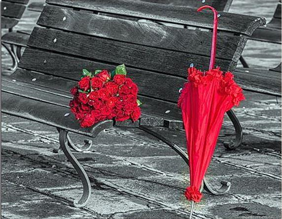 Red Rose Flower Umbrella Painting By Numberss.png