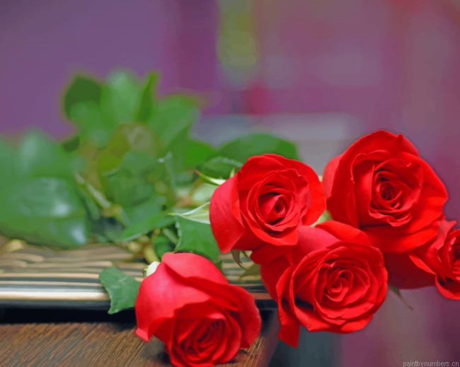 Red Roses Blooms Flowers Painting By Numberss.png
