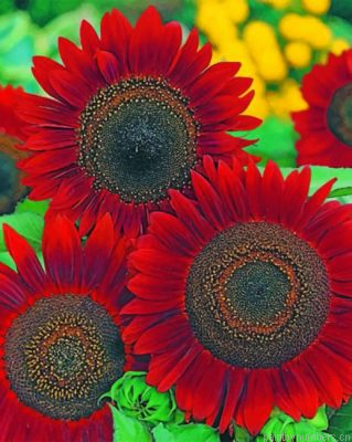 Red Sunflowers Painting By Numbers.png