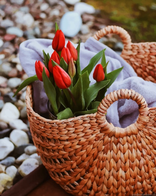 Red Tulips On Basket Flowers Painting By Numberss.png