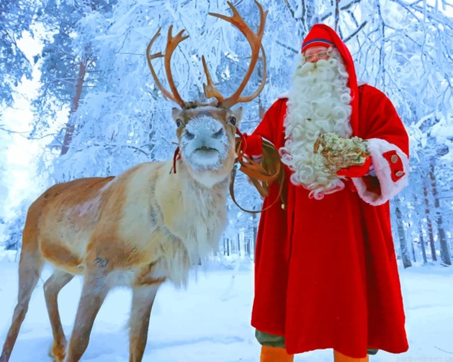 Reindeer And Noel Christmas Painting By Numbers.png