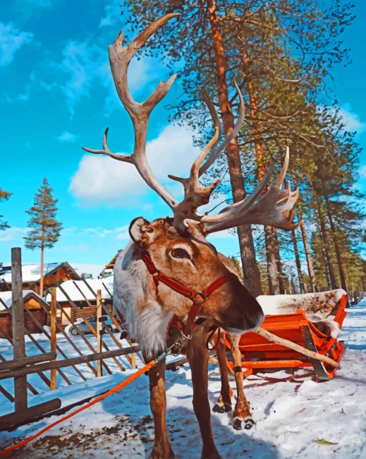 Reindeer In Finland Animals Painting By Numbers.png