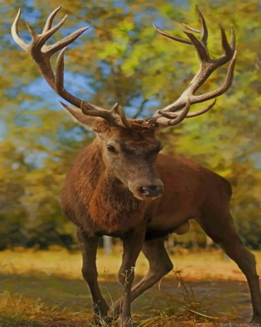 Reindeer In Jungle Animals Painting By Numberss.png