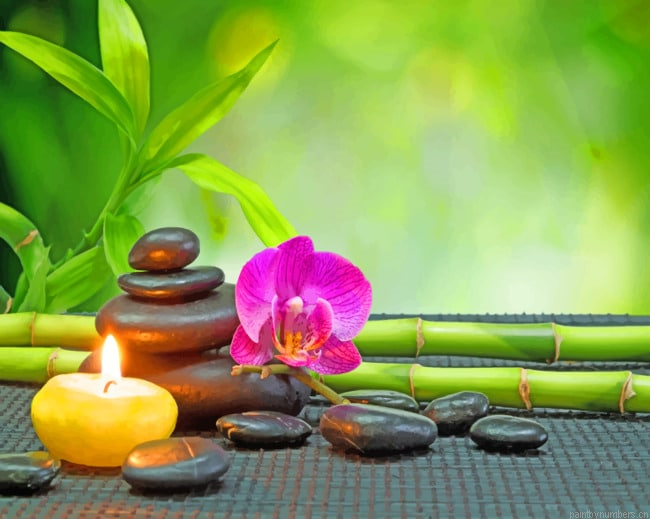 Relaxing Nature Elements Painting By Numberss.png
