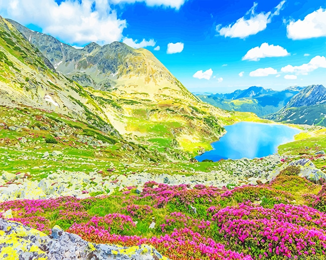 Retezat National Park Romania Landscapes Painting By Numberss.png
