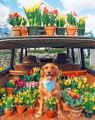 Retriever And Plants Painting By Numbers.png