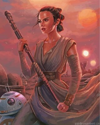 Rey Star Wars Art Painting By Numbers.png
