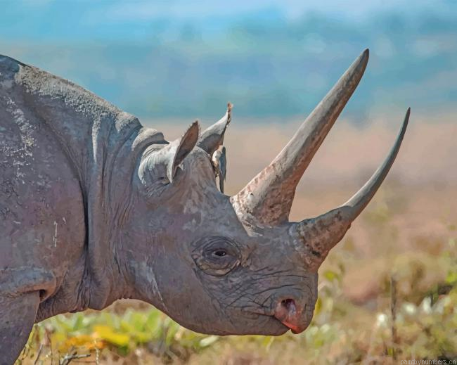 Rhinos Animal Painting By Numberss.png