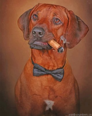 Rhodesian Ridgeback Smoking Painting By Numbers.png