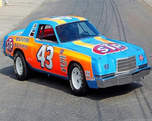 Richad Petty Race Car Painting By Numbers.png