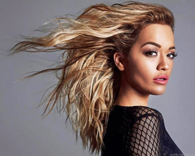 Rita Ora Singers Painting By Numberss.png