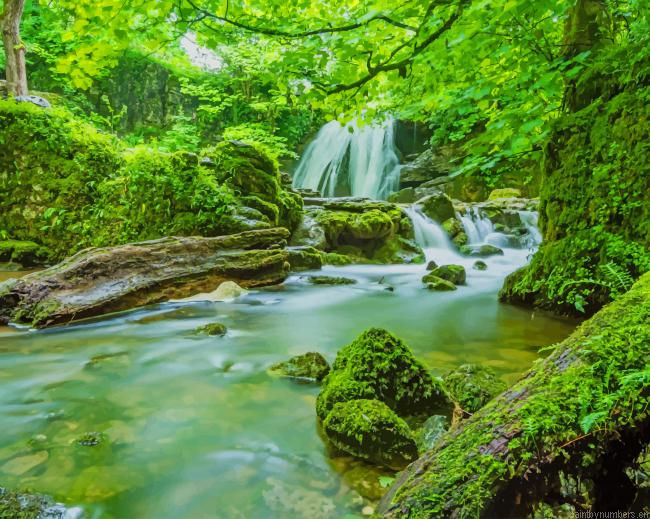 River Green Nature Landscapes Painting By Numberss.png
