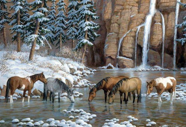 River Herd Of Horses Painting By Numbers.png