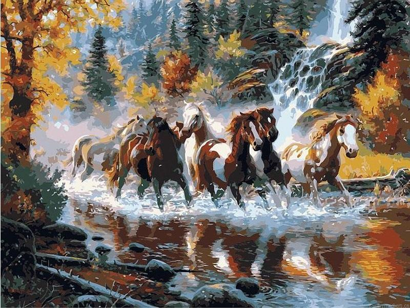 River Horse Animals Painting By Numbers.png
