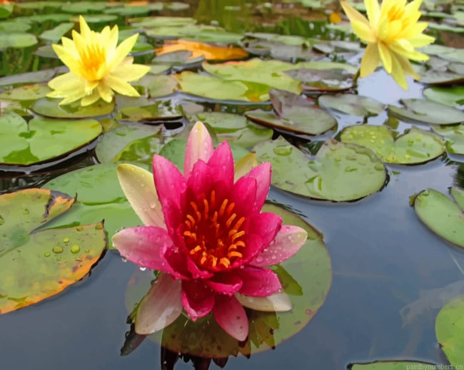 River Water Flowers Painting By Numberss.png