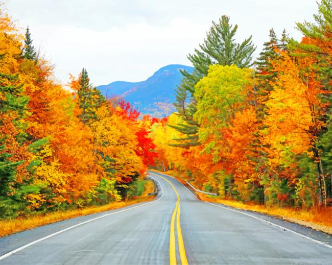Road Autumn Trees Landscapes Painting By Numberss.png