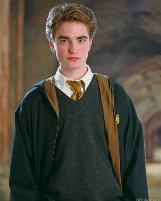Robert Pattinson Harry Potter Movies Painting By Numberss.png
