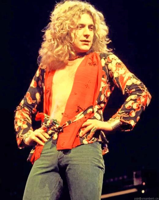 Robert Plant Singing Painting By Numberss.png