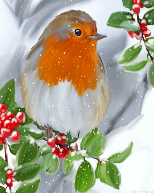 Robin Bird Enjoying The Snow Painting By Numberss.png