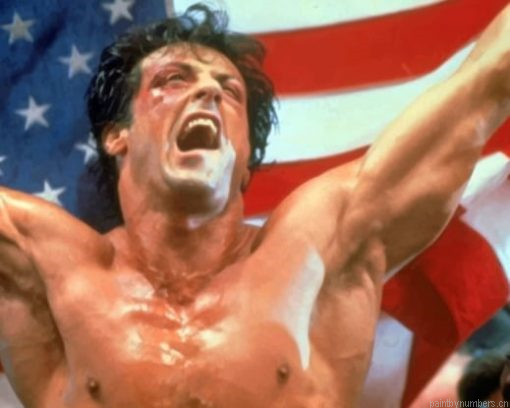 Rocky Balboa And The American Flag Painting By Numbers.png
