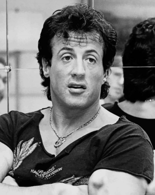 Rocky Balboa Black And White Painting By Numbers.png