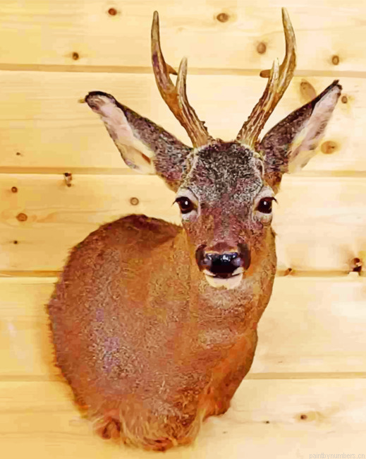 Roe Deer Head Mounted Painting By Numbers.png