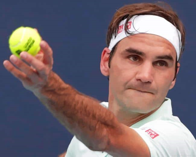 Roger Federer Tennis Player Painting By Numberss.png