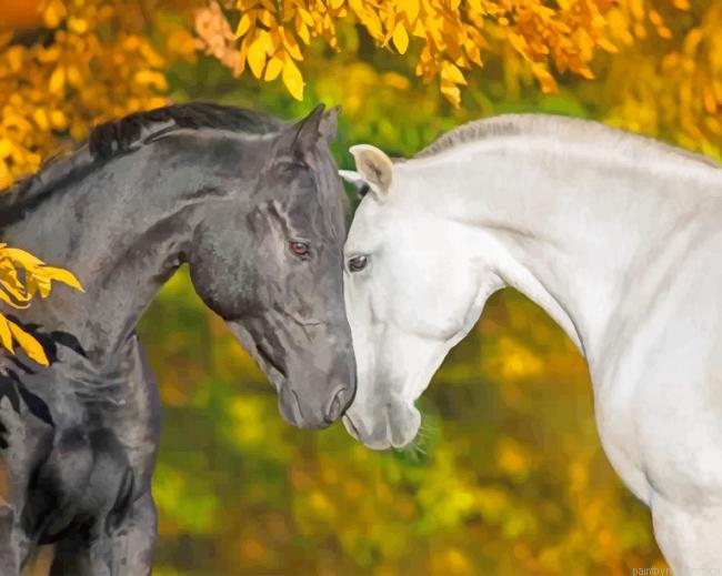 Romantic Black And White Horses Animals Painting By Numberss.png