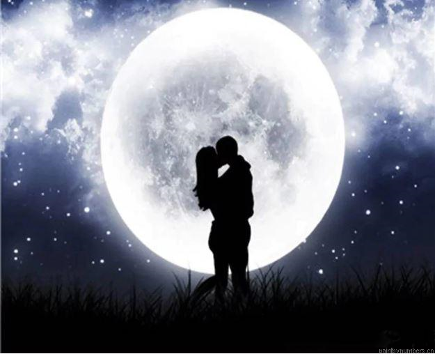 Romantic Night Silhouette Painting By Numbers.png