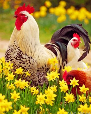 Rooster And Chicken Painting By Numbers.png