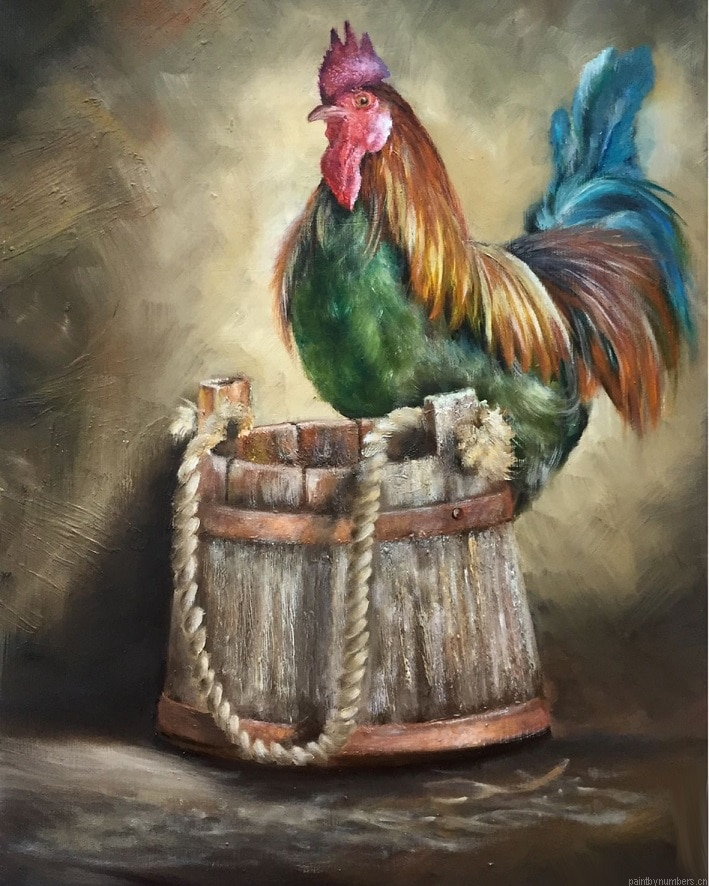 Rooster Clipart Birds Painting By Numberss.png