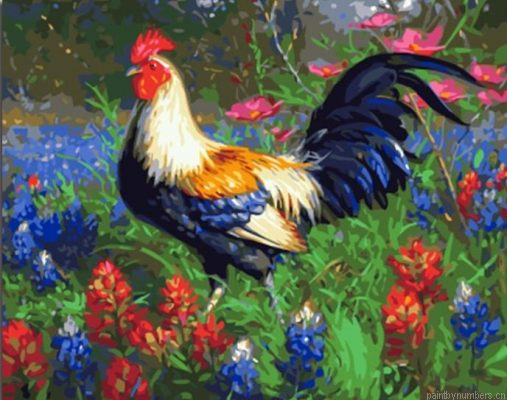 Rooster In Garden Painting By Numbers.png