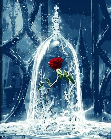 Rose In Glass Flowers Painting By Numbers.png