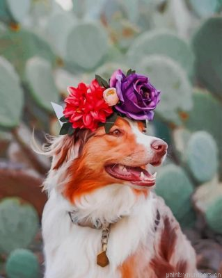 Rough Collie With Flowers Painting By Numbers.png