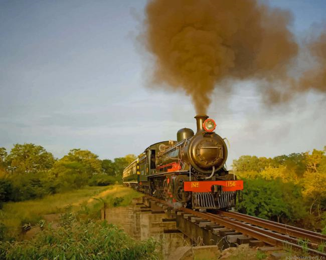 Royal Livingstone Steam Train Painting By Numbers.png