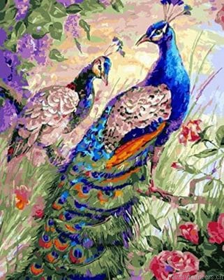 Royal Peacock Birds Painting By Numbers.png