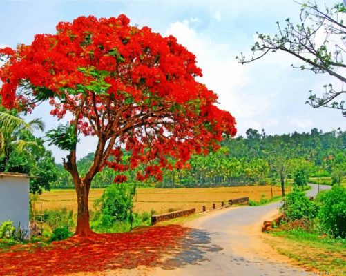 Royal Poinciana Tree Painting By Numbers.png
