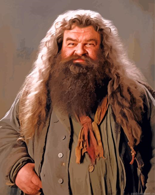 Rubeus Hagrid From Harry Potter Painting By Numberss.png