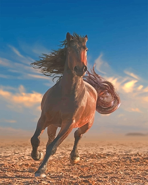 Running Horse Animals Painting By Numberss.png