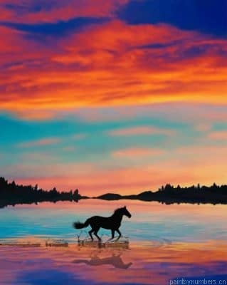 Running Horse Silhouette Painting By Numbers.png