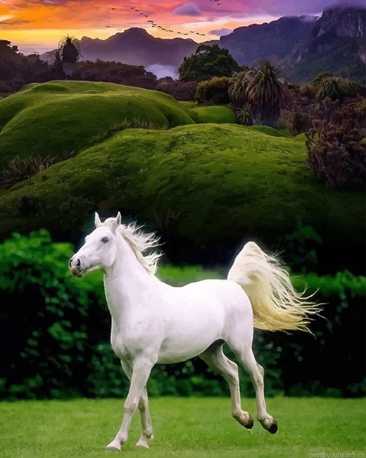 Running White Horse Animals Painting By Numberss.png