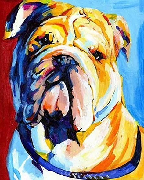 Sad Bulldog Animals Painting By Numbers.png