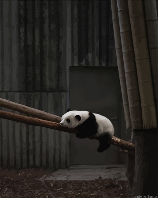 Sad Panda Animals Painting By Numbers.png