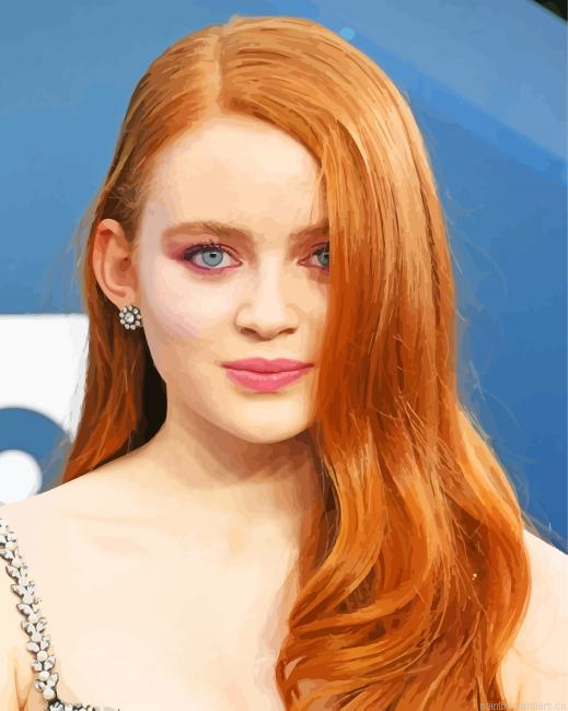 Sadie Elizabeth Sink Painting By Numberss.png
