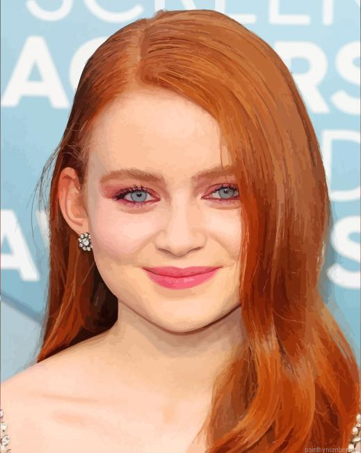 Sadie Sink Painting By Numberss.png