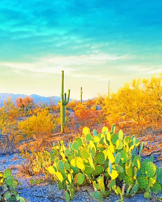 Saguaro National Park Landscapes Painting By Numberss.png